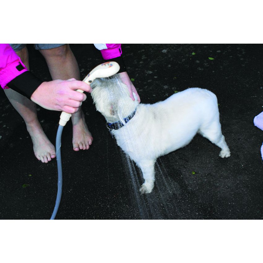 Leisurewize 12v Portable Shower