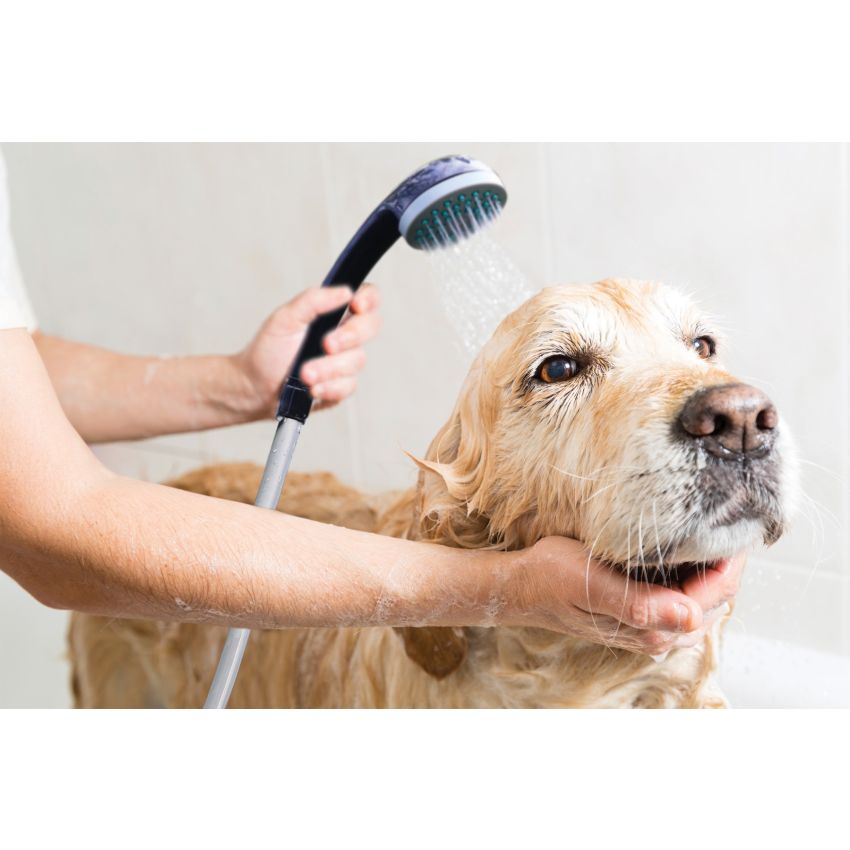 Leisurewize Rechargeable Portable Shower